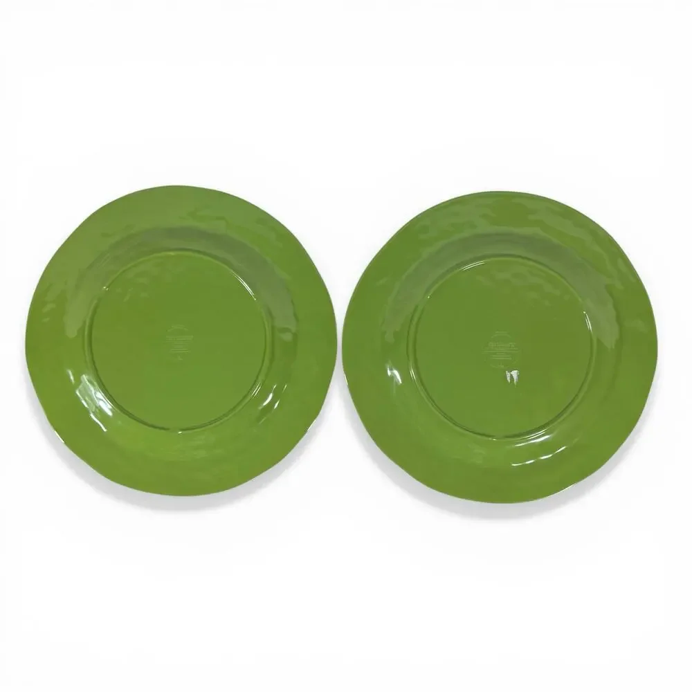 Pier 1 Imports Set of 2 Green Carmelo Melamine Dinner Plates Crackle Finish